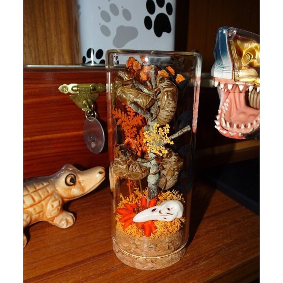 Cicada Skins Autumn Flowers Nature Art Oddity Jar mini Raven Skull goth witchy - Picture 5 of 16